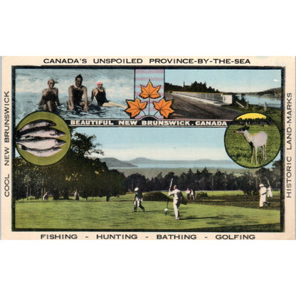 New Brunswick Canada's Unspoiled Province By the Sea - Original Postcard P3-5