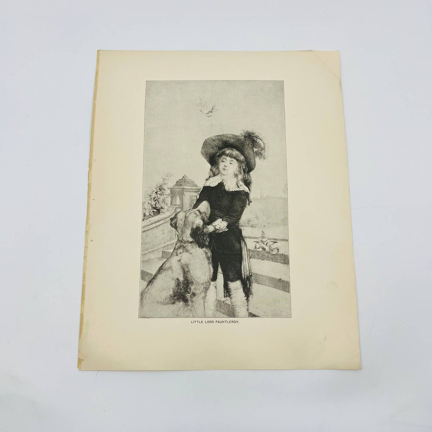 1880s Victorian Art Print Engraving  Burnett LITTLE LORD FAUNTLEROY FM Spiegle