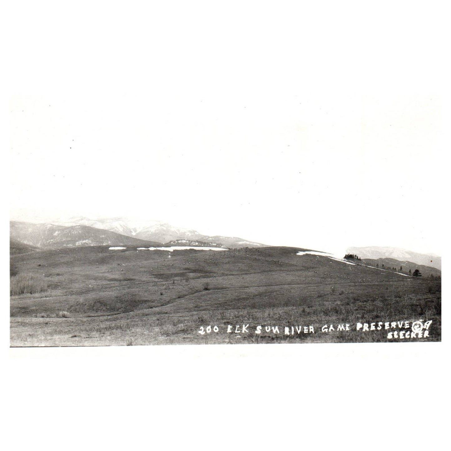 Elk Sun River Game Preserve - Original Postcard RPPC TJ8-4