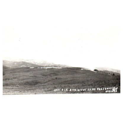 Elk Sun River Game Preserve - Original Postcard RPPC TJ8-4