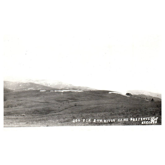 Elk Sun River Game Preserve - Original Postcard RPPC TJ8-4