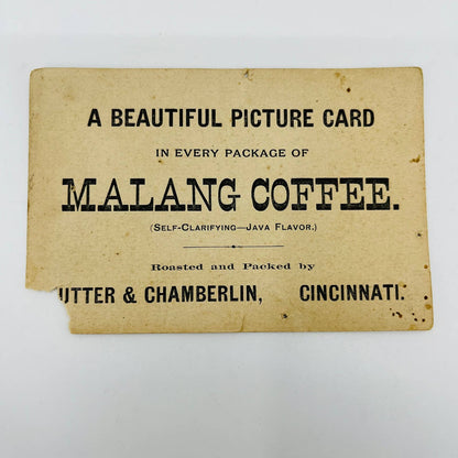 1880s Victorian Trade Card Malang Coffee Cincinnati OH Faerie Girl AA2