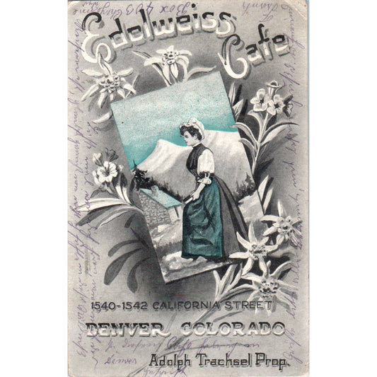 c1910 Edwin's Cafe Adolf Trachsel Denver Colorado Original Postcard TK1-29