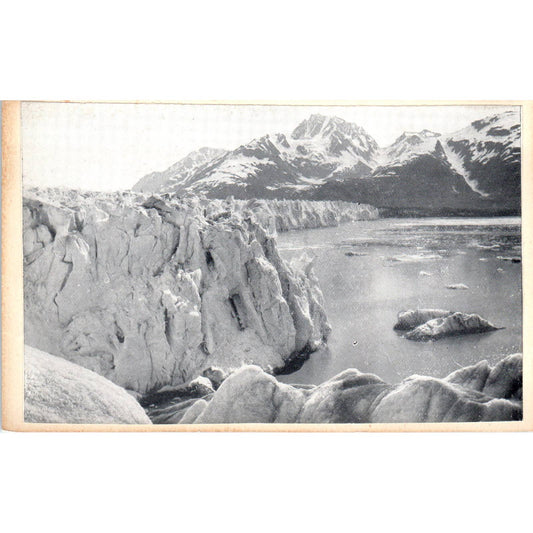View of Glacier from the Top - Alaska Original Postcard TK1-30