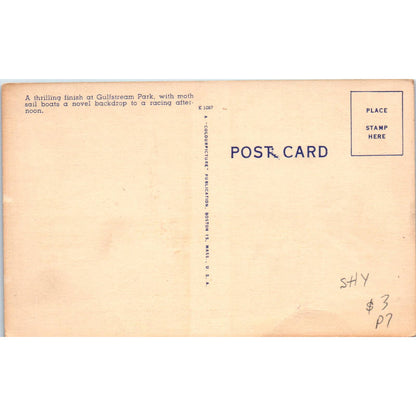 Horse Racing at Gulfstream Park 1950s Original Postcard TK1-23
