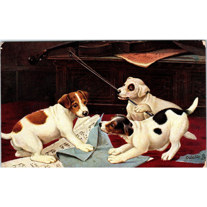 Puppies/Dogs Playing with Sheet Music Raphael Tuck Original Postcard TK1-27