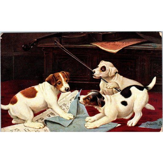 Puppies/Dogs Playing with Sheet Music Raphael Tuck Original Postcard TK1-27