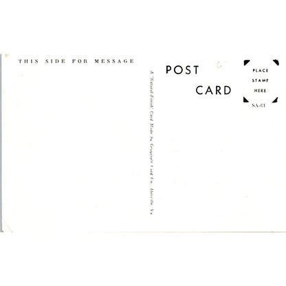 Salmon Catch RPPC Alaska Original Postcard P2-6