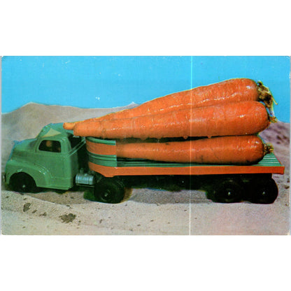 A Truckload of Carrots - Tichnor Bros. Original Postcard P2-8