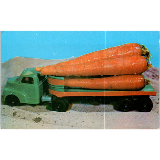 A Truckload of Carrots - Tichnor Bros. Original Postcard P2-8