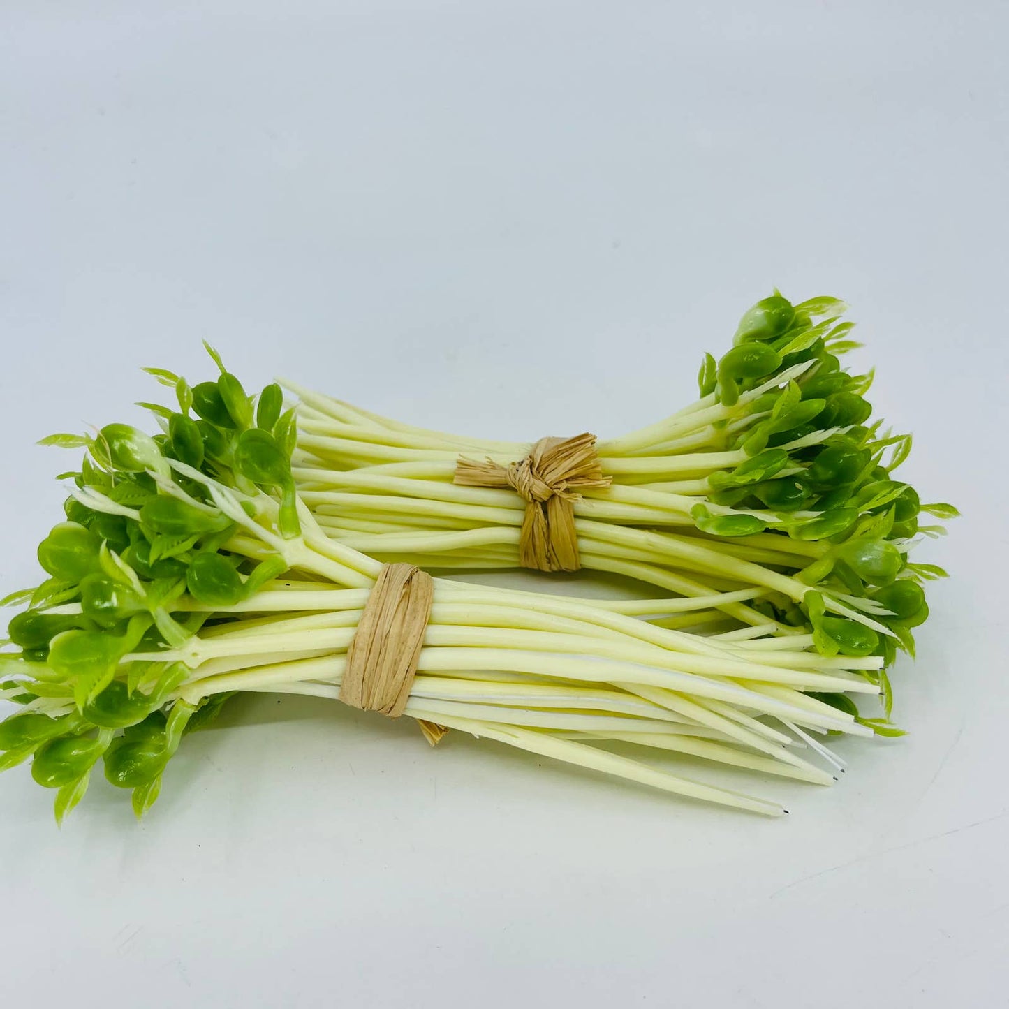 2 Bunches Vintage Artificial Fake Bean Sprouts TD3-4