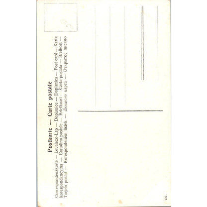 Victorian Romance Courting Couple in Rowboat 1910 Original Postcard TK1-21-1