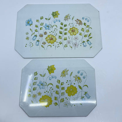 1978 Set of 2 Ballonoff Insulated Hot Dish Plate Mat Trivet Spring Flowers TF3