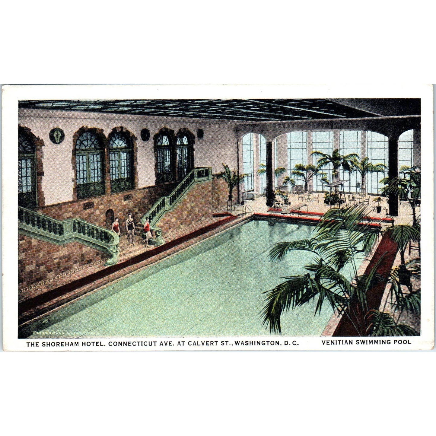 Shoreham Hotel Venetian Swimming Pool Washington D.C. Original Postcard TK1-P2