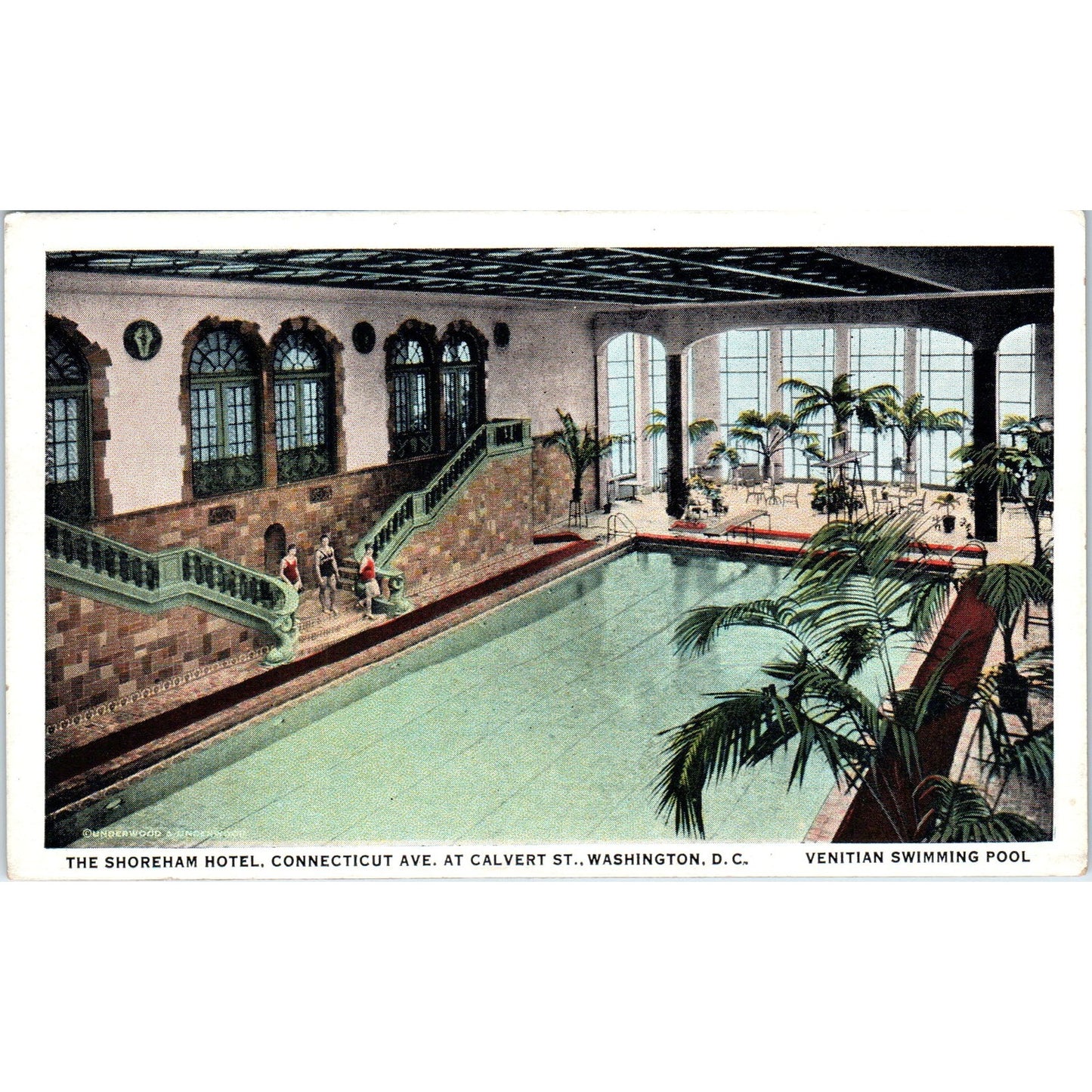 Shoreham Hotel Venetian Swimming Pool Washington D.C. Original Postcard P1-16
