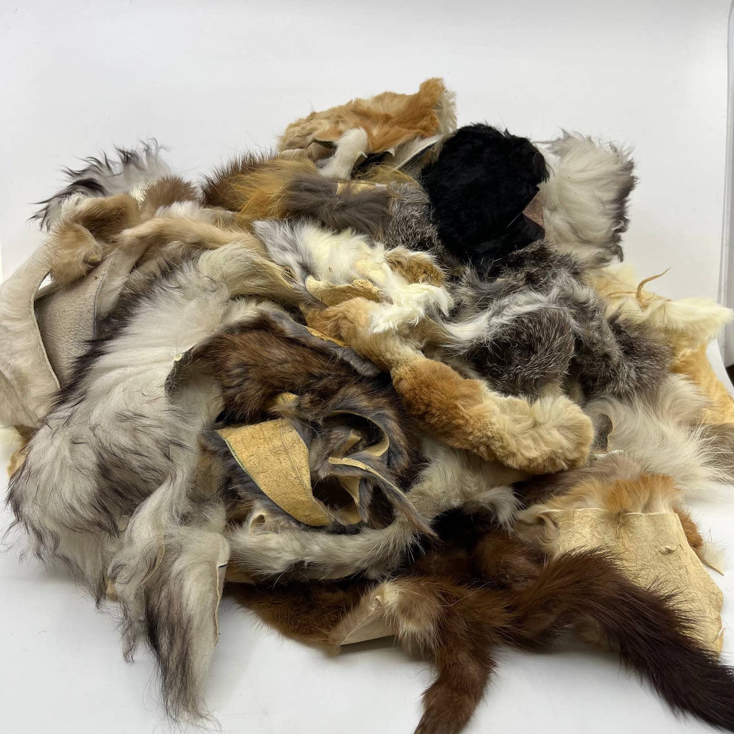 HUGE Fur Scrap Lot 2+ Pounds Fox Coyote Beaver Ermine More Craft Remnants FL3