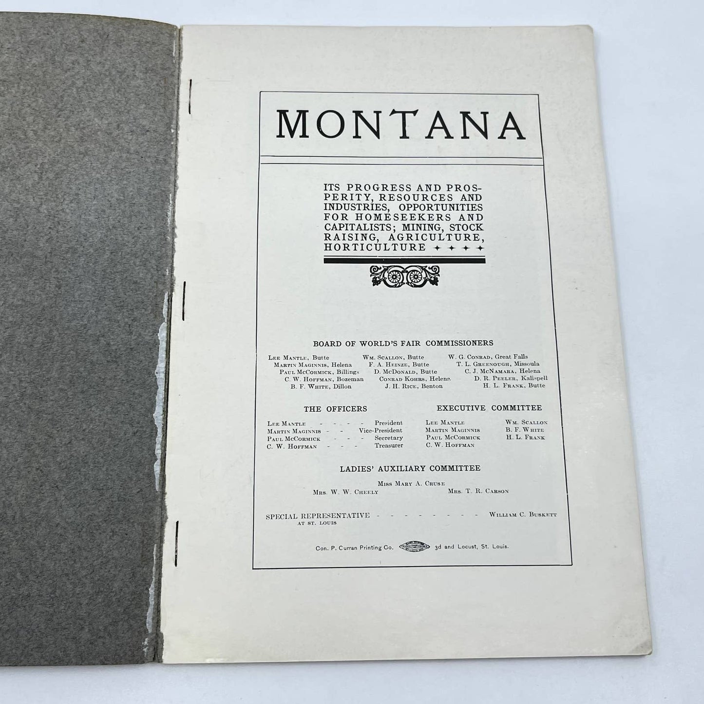 RARE Montana The Treasure State Book - St. Louis World's Fair 1904 TF7