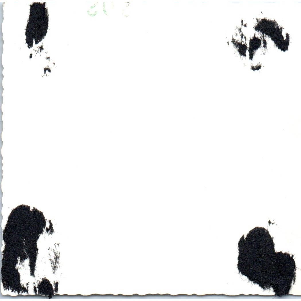 1950s Photograph Men's Beach Volleyball Game 3.5" SE5