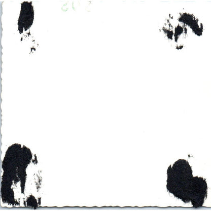 1950s Photograph Men's Beach Volleyball Game 3.5" SE5