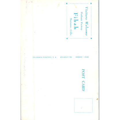 Chateau Madrid Perfumeria Fibah Havana Cuba Original Postcard P3-1