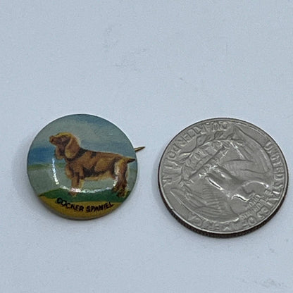 Vintage 1930s Cocker Spaniel Dog Celluloid Pinback Button SD9