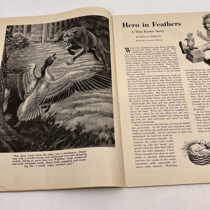 Nature Magazine Apr 1947- Geese Goldfinches in Saskatchewan TH9