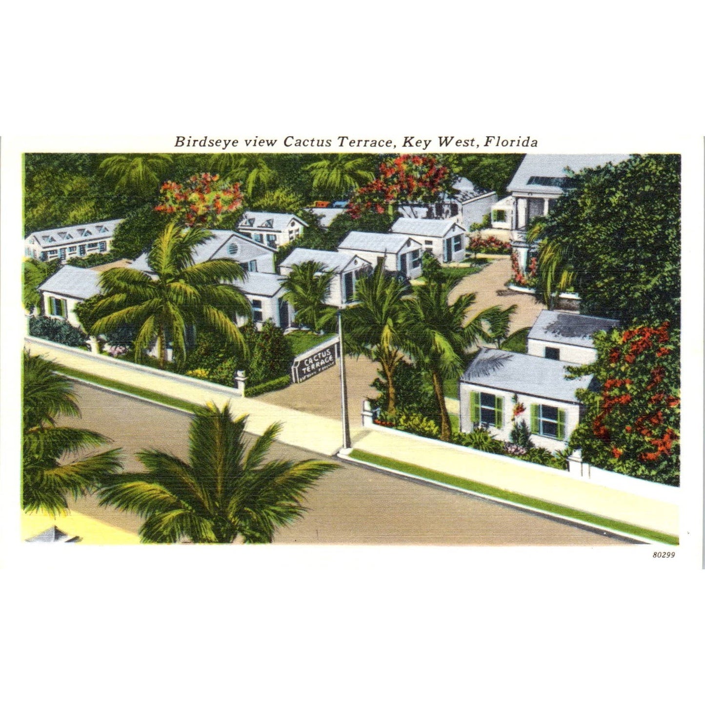 Cactus Terrace Joseph Zorsky Key West Florida - Original Postcard TJ7-RP2