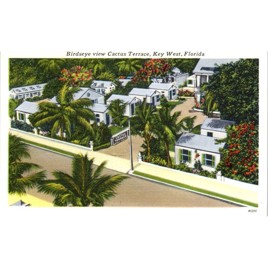 Cactus Terrace Joseph Zorsky Key West Florida - Original Postcard TJ7-RP2