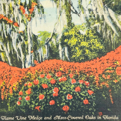 1941 Florida The Tropical Wonderland Fold Out Postcard Souvenir Book EA2