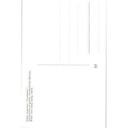 Codex Argenteus Silverbibeln Evangelierna Pa Gotiska Original Postcard TK1-21