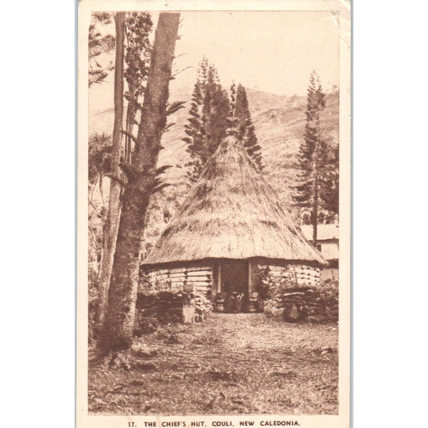 The Chief's Hut Couli New Caledonia - Original Postcard TJ9-P1