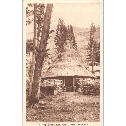 The Chief's Hut Couli New Caledonia - Original Postcard TJ9-P1
