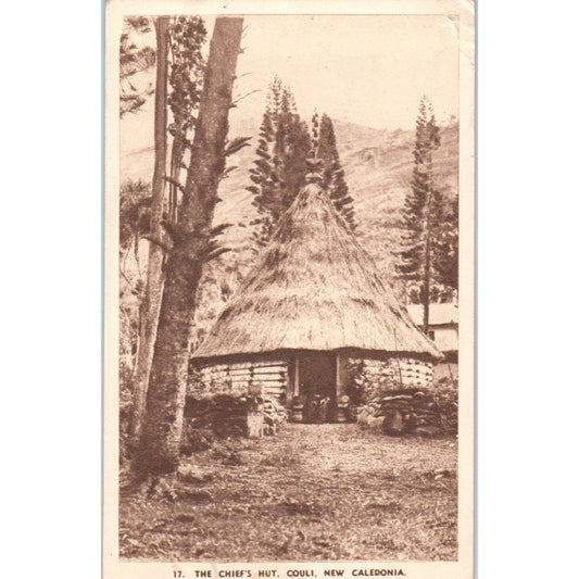 The Chief's Hut Couli New Caledonia - Original Postcard TJ9-P1