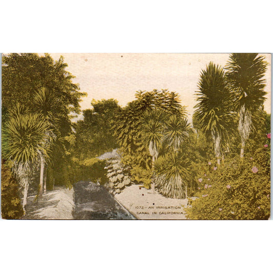 Irrigation Canal in California c1910 Original Postcard TK1-P1