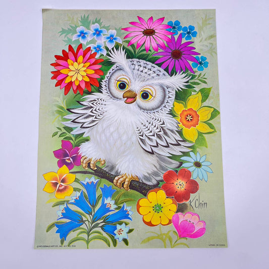 1973 Kitschy Donald Art Co. Owl & Flowers Lithograph K Chin 9 x 12” FL3