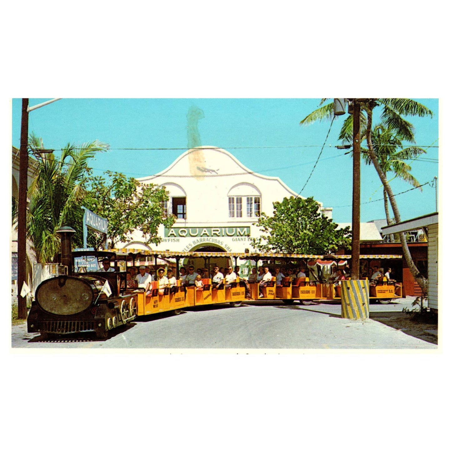 Vintage Postcard - Municipal Aquarium and Conch Tour Train Key West Florida AD9
