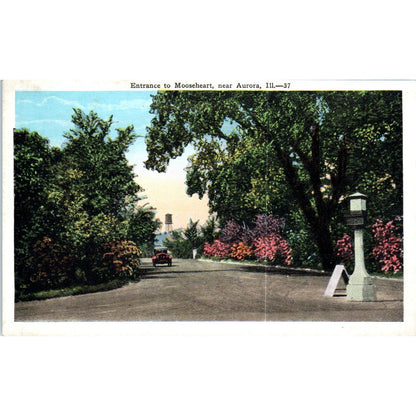 Entrance to Mooseheart Near Aurora Illinois Original Postcard TK1-P19