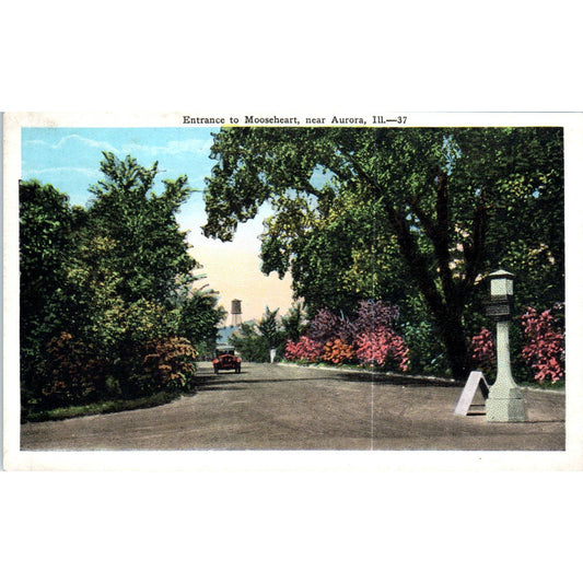 Entrance to Mooseheart Near Aurora Illinois Original Postcard TK1-P19