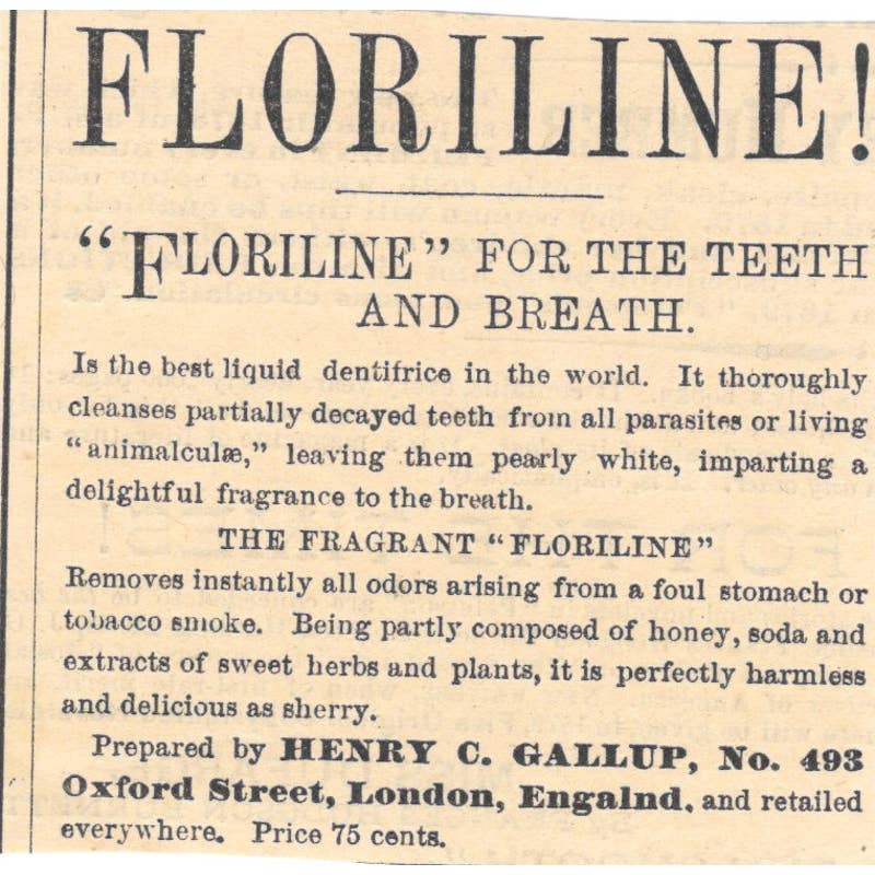 Floriline - Henry C. Gallup London - Victorian Ad 1878 Original TJ7-L2-1