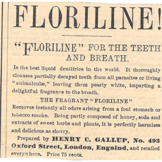 Floriline - Henry C. Gallup London - Victorian Ad 1878 Original TJ7-L2-1