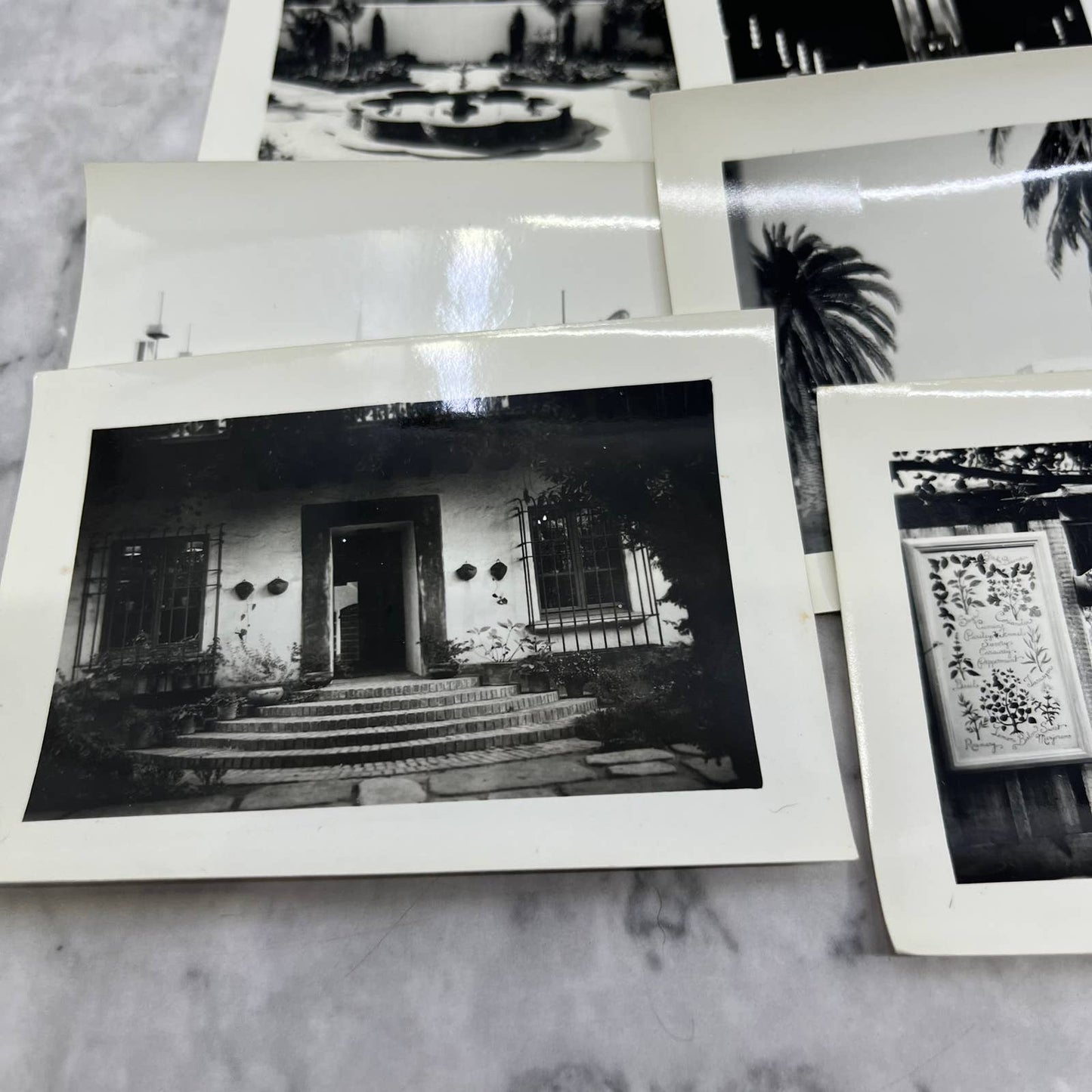 1939 Collection of Photos & Negatives San Francisco & Fair Stanford TJ9-PG6