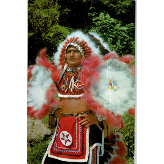 Chief Henry, Indian Reservation - Cherokee NC Original Postcard P2-7