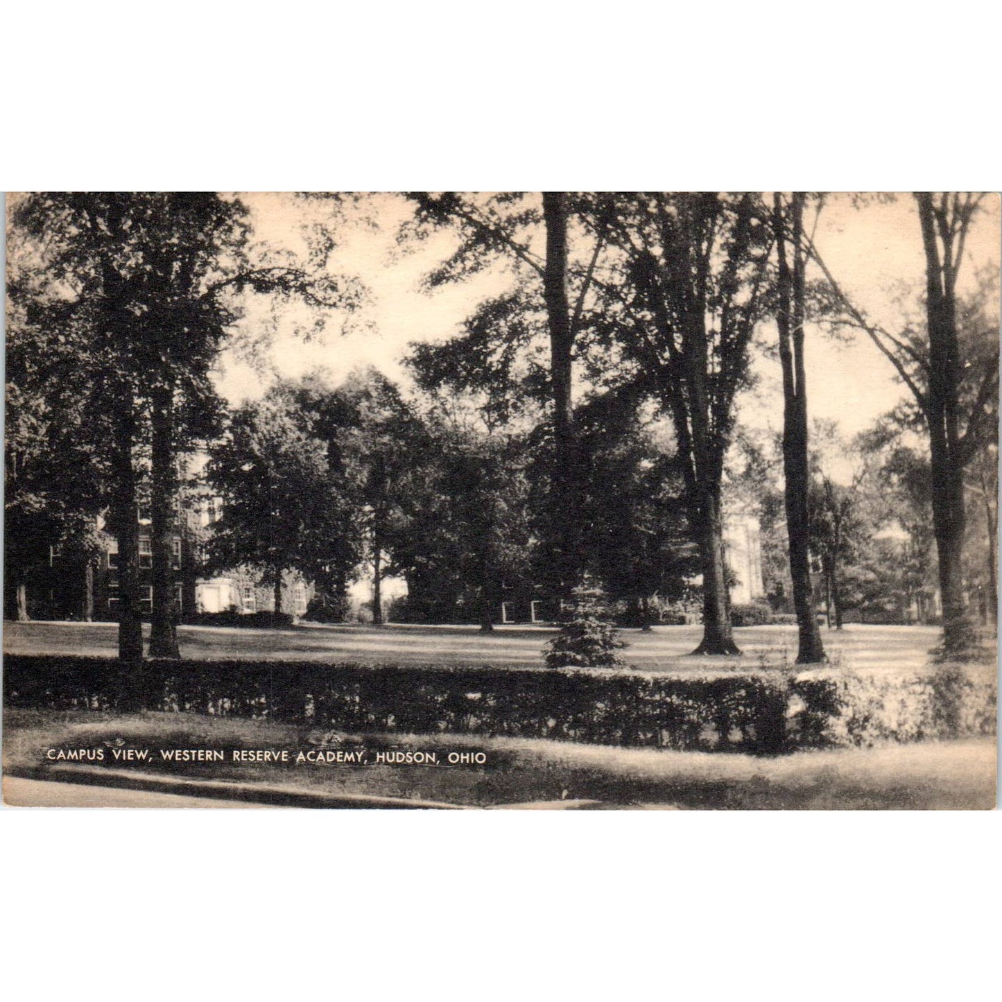 Antique Postcard Campus View Western Reserve Academy Hudson Ohio TD9