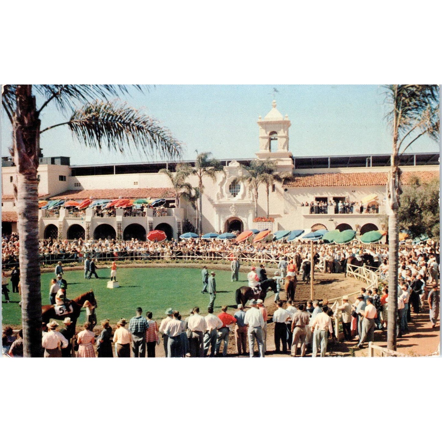 Del Mar Turf Club Horse Racing 1956 Original Postcard TK1-23