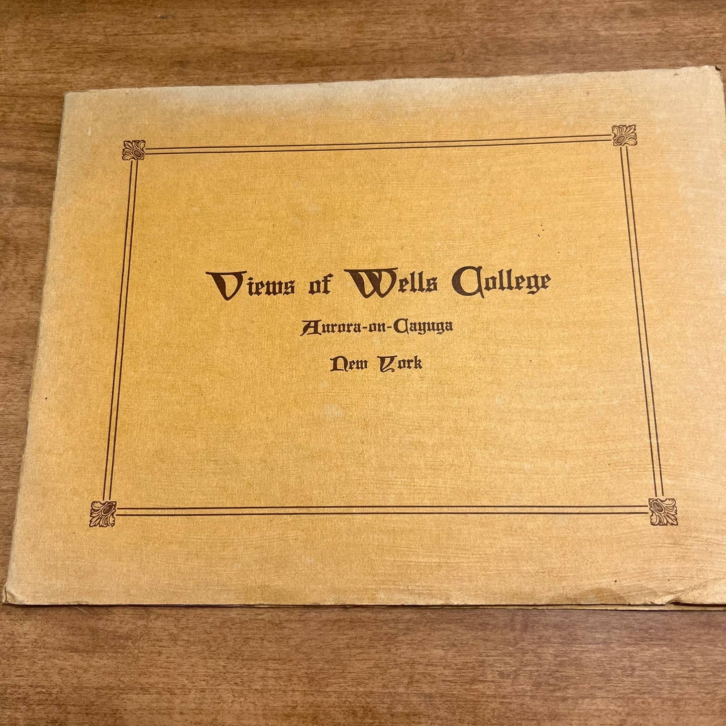 c1900 Views of Wells College Aurora-on-Cayuga New York Photo Book Album 8x10 A9