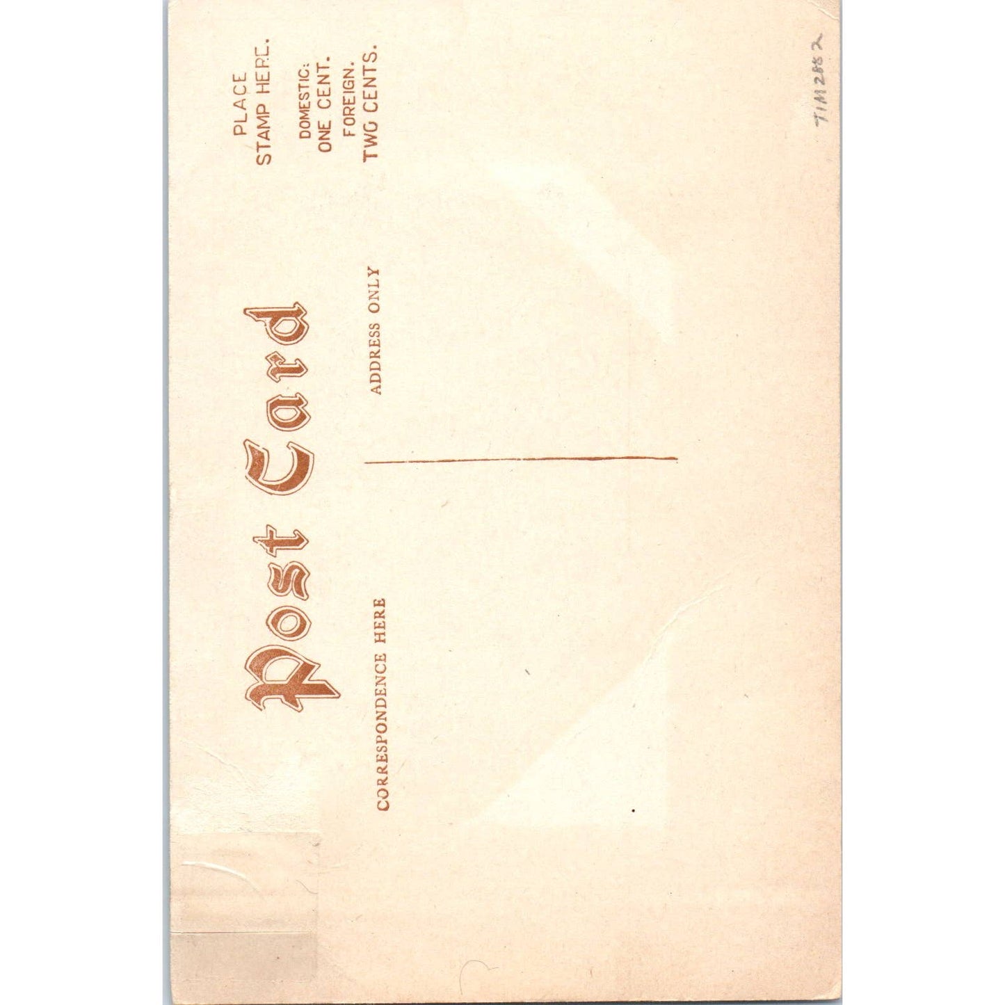 Vintage Postcard Shepherd's Springs, Mineral Springs Hotel Co Carson WA TD9-W2