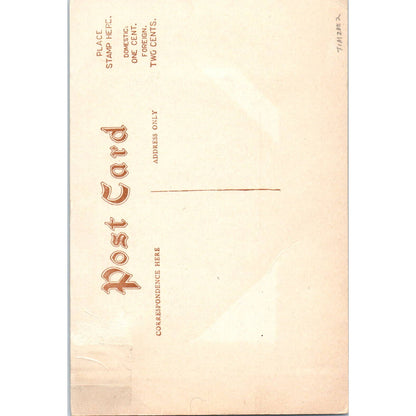 Vintage Postcard Shepherd's Springs, Mineral Springs Hotel Co Carson WA TD9-W2