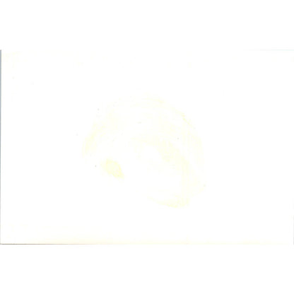 Bolivia Ambassador Sanjines-Goytia at Yankton College 1965 Original Photo TK1-P4