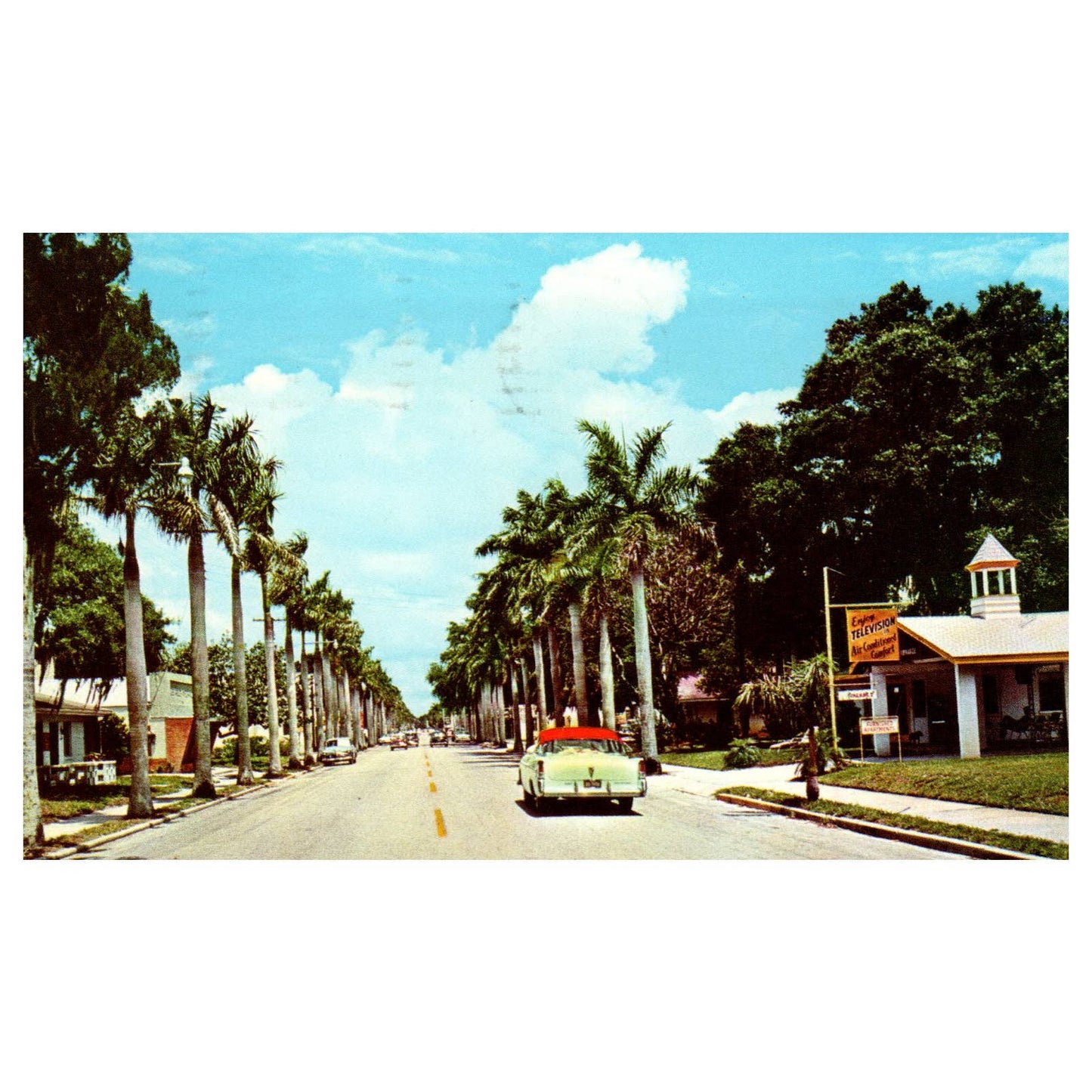 Vintage Postcard - Royal Palms Line 14th Street Tamiami Trail Bradenton FL TJ7-1