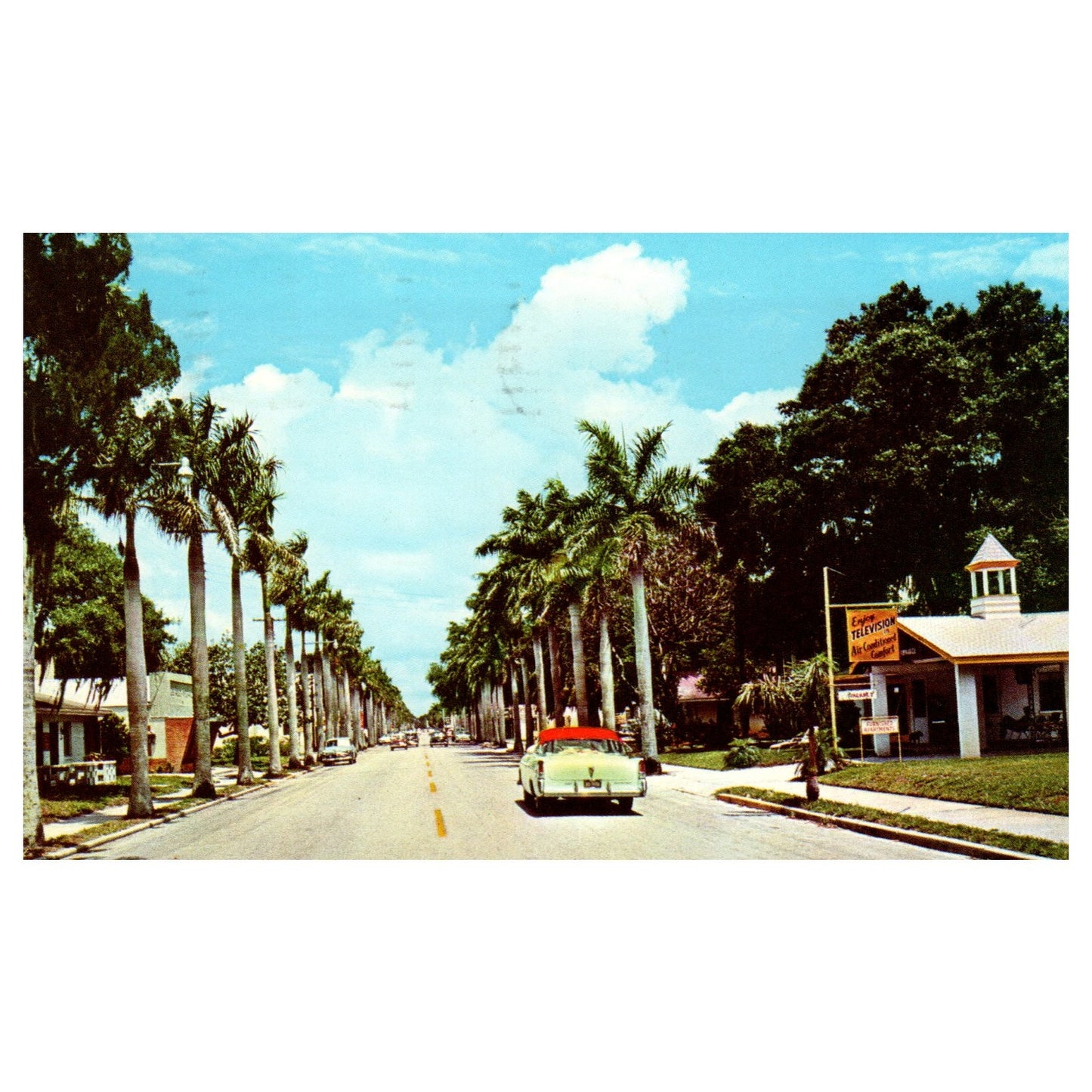 Vintage Postcard - Royal Palms Line 14th Street Tamiami Trail Bradenton FL P3-7